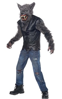 Full Moon Fury Werewolf Child Costume