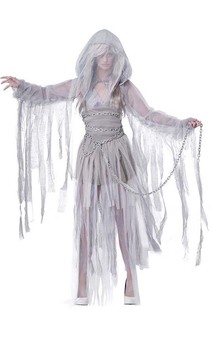 Haunting Beauty Adult Ghost Spirit Costume