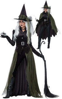 Gothic Wicked Witch Adult Sorceress Costume
