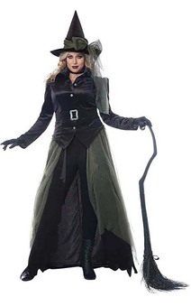 Gothic Witch Stylish Plus Size Adult Costume