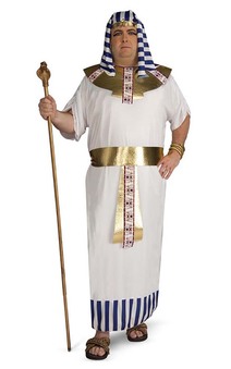 Eygptian Pharaoh Toga Adult Plus Costume