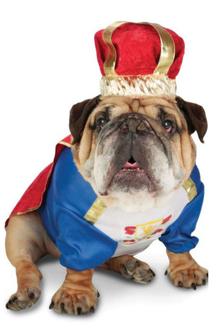 Royal Pet King Costume