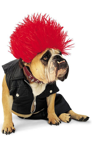 Punk Rocker Pet Dog Costume