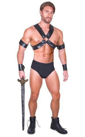 Sexy Gladiator Adult Mardi Gras Costume