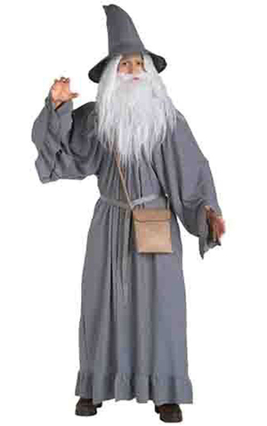 Gandalf Harry Potter Teacher Wizard Adult Costume