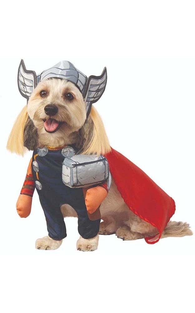 Thor Avengers Pet Marvel Walking Dog Costume - RUBIES