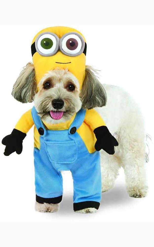 Minion Despicable Me Bob Pet Dog Costume RUBIES