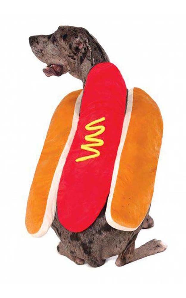 Big Dog Hot Diggity Dog Costume RUBIES