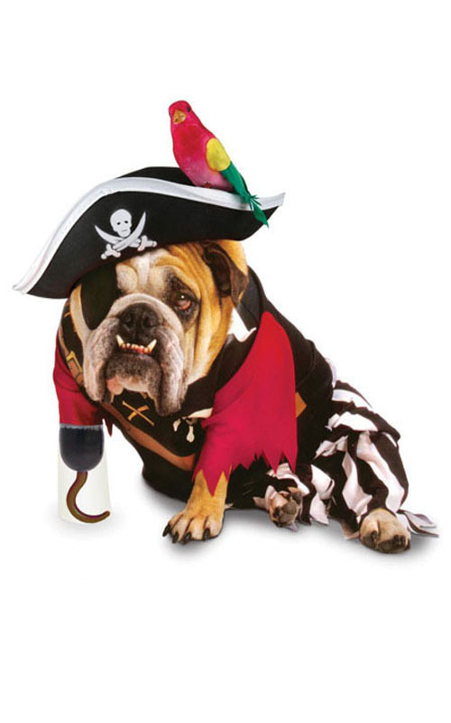 Zelda Wisdom Pet Pirate Dog Costume