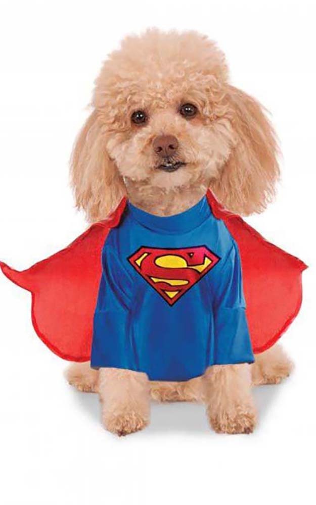 SUPERMAN PET SUPERHERO DOG FANCY DRESS HALLOWEEN COSTUME eBay