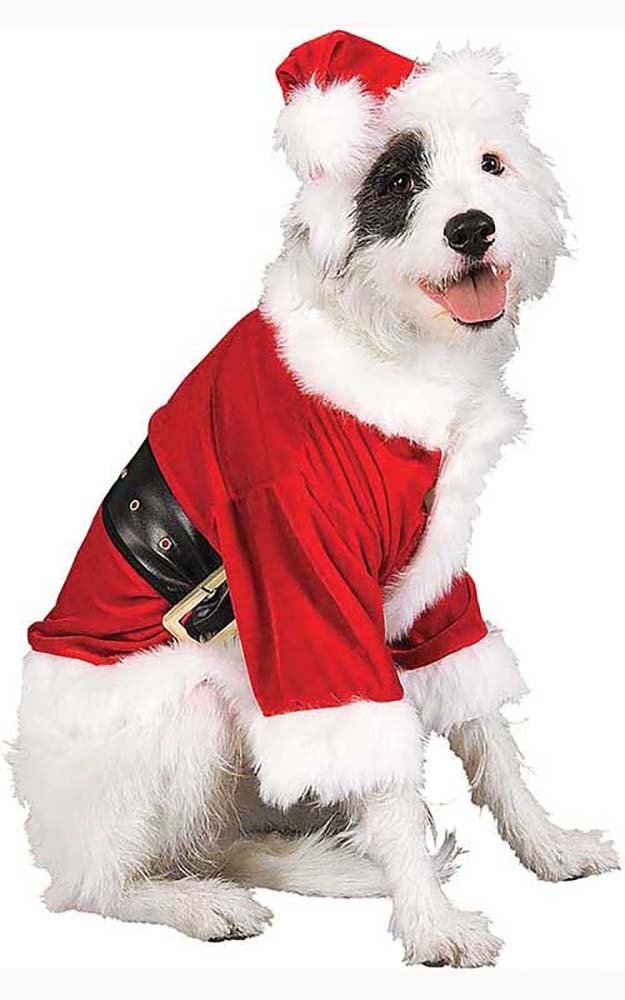 Santa Claus Pet Costume 887895L