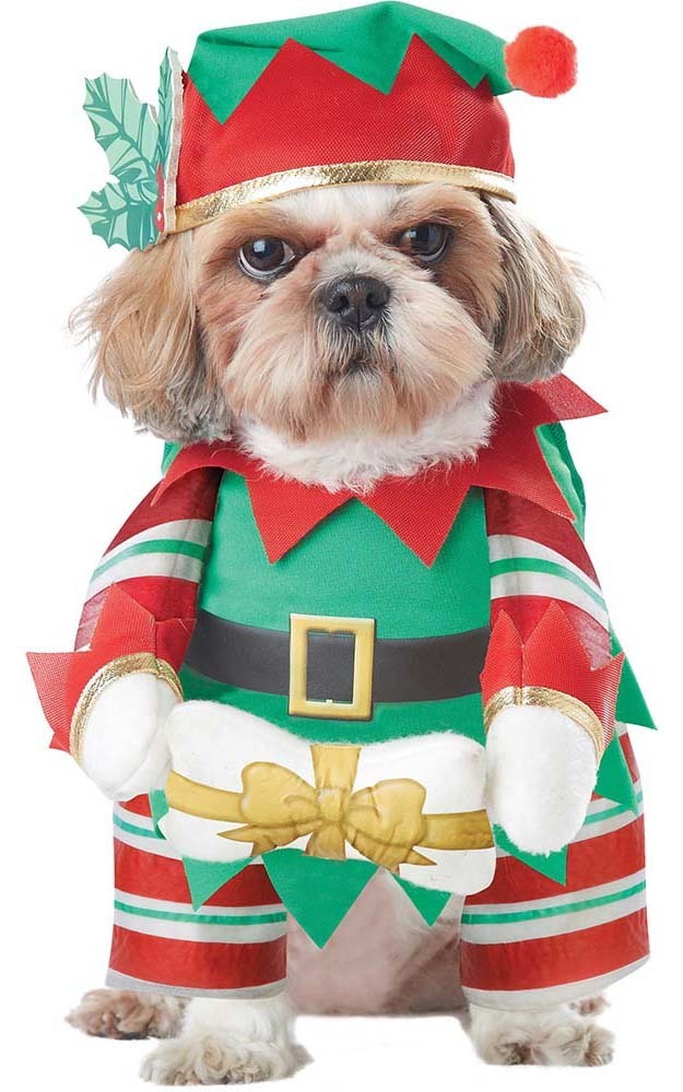 Puppy christmas outfits outlet