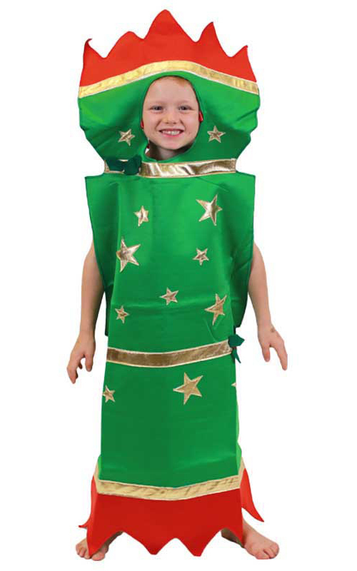 Xmas cracker costume hotsell