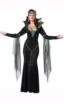 Evil Sorceress Adult Halloween Costume