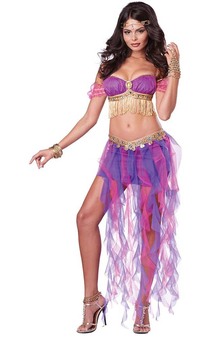 Belly Dancer Adult Arabian Princess Costume