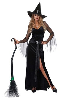 Rich Witch Adult Sexy Classy Witch Costume