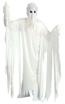 Ghost Adult Costume