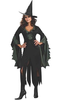 Enchantra Witch Adult Costume