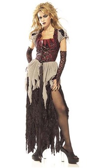 Sinderella Adult Costume