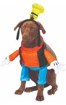 Goofy Pet Dog Disney Costume