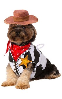 Toy Story Woody Pet Accessory Kit