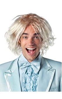 Dumb and Dumber Harry Wig