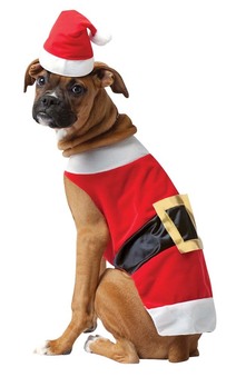 Santa Claus Pet Costume