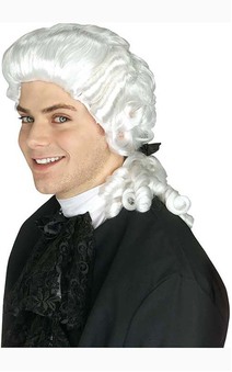 Colonial Man Adult Judge Wig