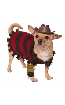 Freddy Krueger Pet Costume