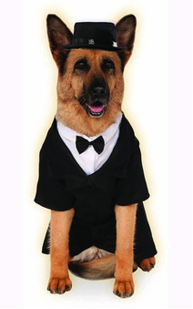 ' Big Dogs ' Dapper Dog Groom Pet Costume