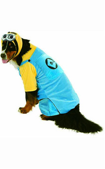 Big Dogs Minion Pet Costume
