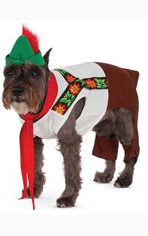 Lederhosen Hound Oktoberfest Pet Dog Costume