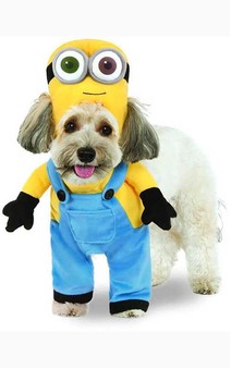 Minion Despicable Me Bob Pet Dog Costume