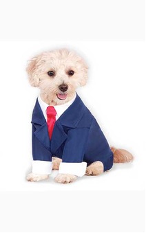 Blue Business Suit Pet Dog Costume