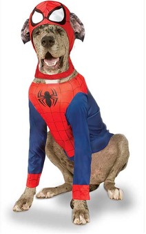 Big Dog Spider-man Pet Costume