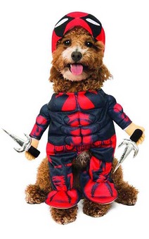 Deadpool Pet Dog Costume