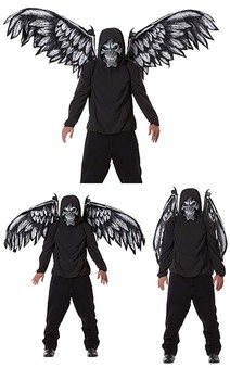 Fallen Angel Mask & Wings