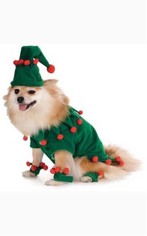 Elf Pet Dog Christmas Costume