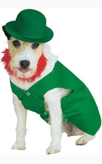 Leprechaun Pet Dog St Patricks Day Costume