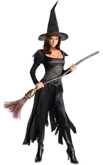 Wicked Witch Of The West Adult Costume