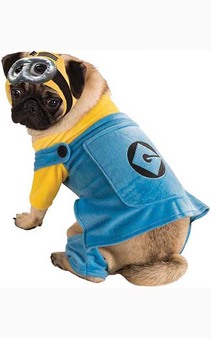 Minion Pet Dog Costume