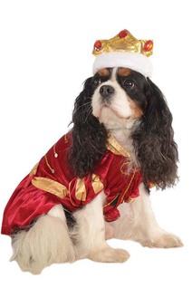 Kanine King Pet Dog Costume