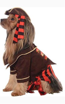 Pirate Boy Pet Dog Costume
