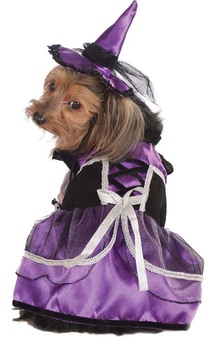Purple Witch Pet Dog Halloween Costume