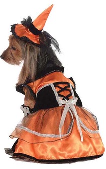 Orange Witch Pet Dog Costume