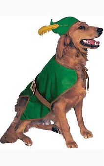 Robin Hood Pet Dog Medieval Costume