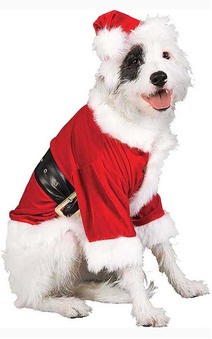 Santa Claus Pet Dog Costume