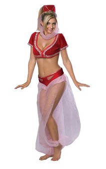 I Dream of Jeannie Sexy Adult Costume