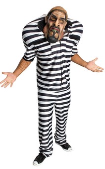 Prisoner Convict Adult Costume