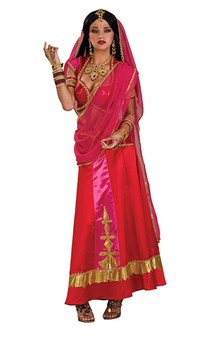 Bollywood Beauty Indian Adult Costume